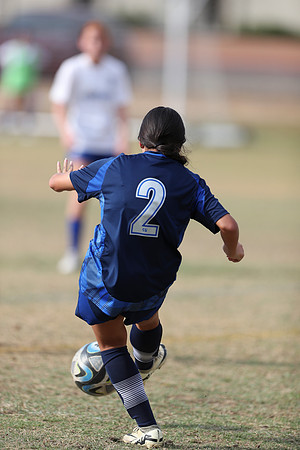 20241103StingG12-8247