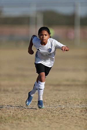 20241012StingG14Game6Win-4315