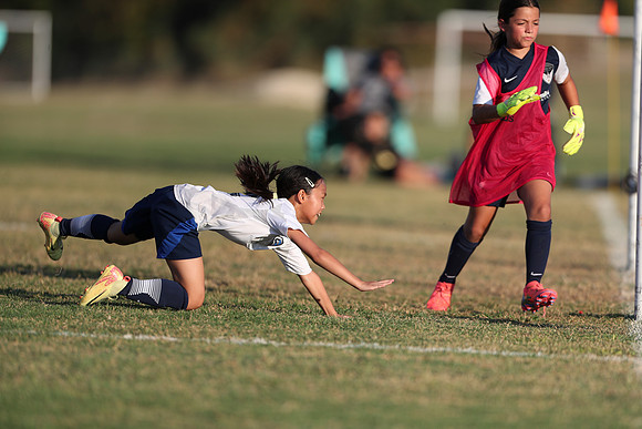 20241027StingG14G8Win-6551
