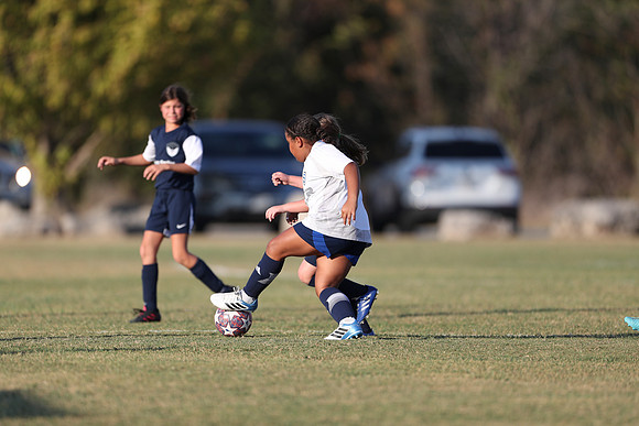20241027StingG14G8Win-6406