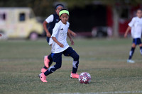 20241027StingG14G8Win-5416