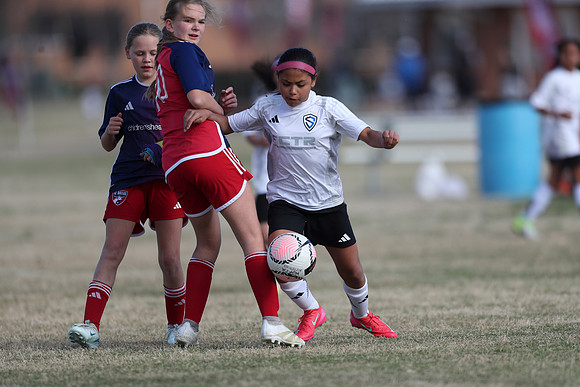 20250315StingAustingG14TigerCupG2-20569