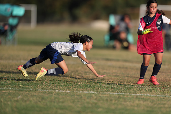 20241027StingG14G8Win-6550
