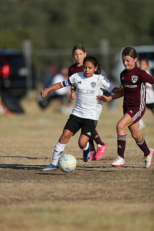 20241012StingG14Game6Win-4266