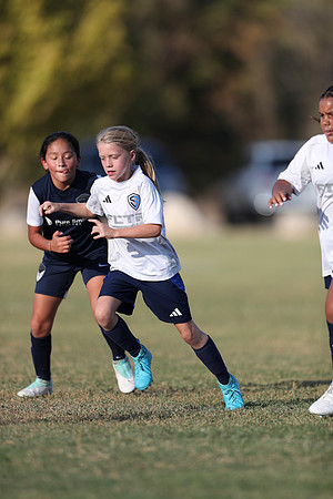 20241027StingG14G8Win-5684
