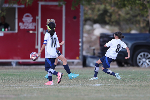 20241027StingG14G8Win-5521