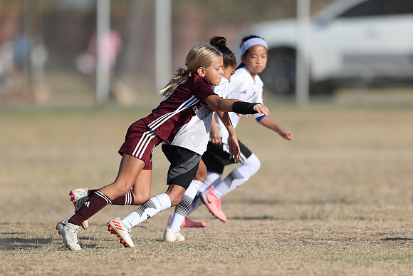 20241012StingG14Game6Win-4630