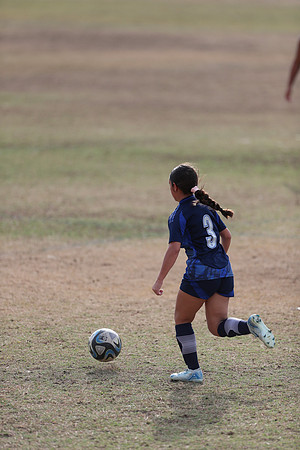 20241103StingG12-8559