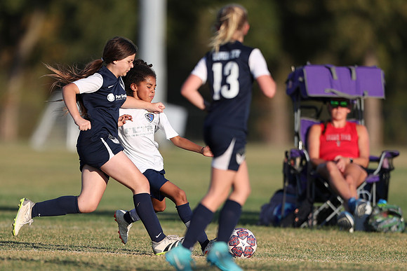 20241027StingG14G8Win-6530