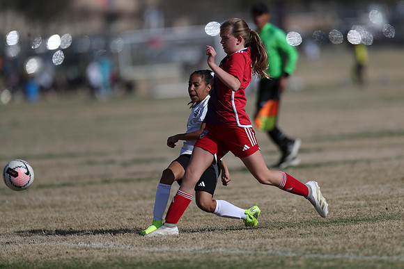 20250315StingAustingG14TigerCupG2-20036