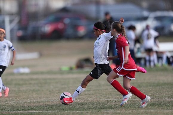 20250315StingAustingG14TigerCupG2-20515