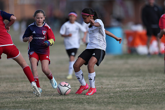 20250315StingAustingG14TigerCupG2-20559