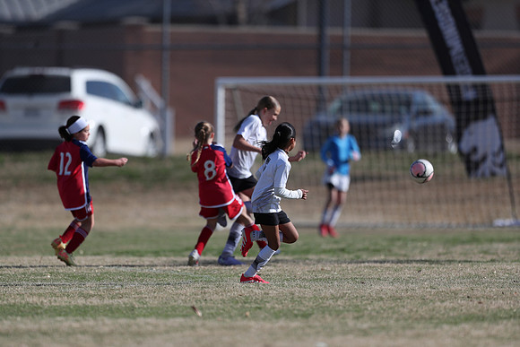 20250315StingAustingG14TigerCupG2-20292