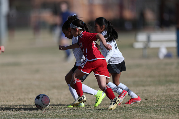 20250315StingAustingG14TigerCupG2-20329