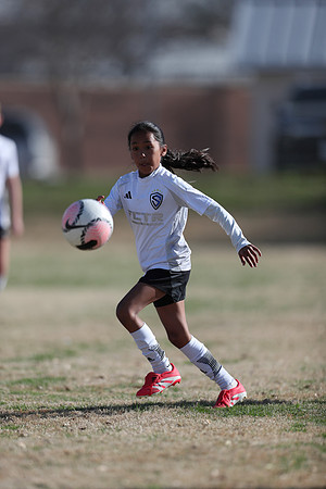 20250315StingAustingG14TigerCupG2-20371