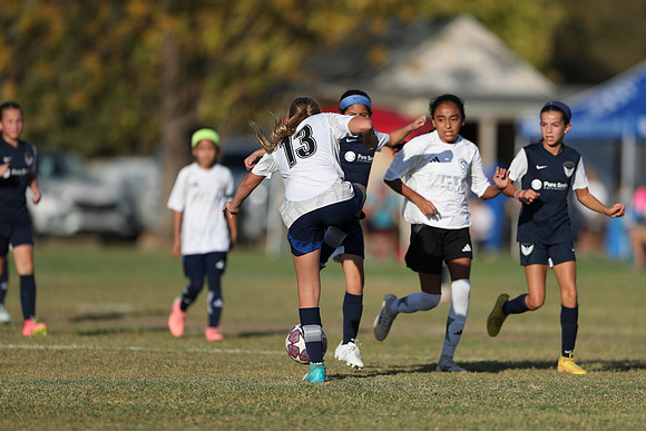 20241027StingG14G8Win-5971