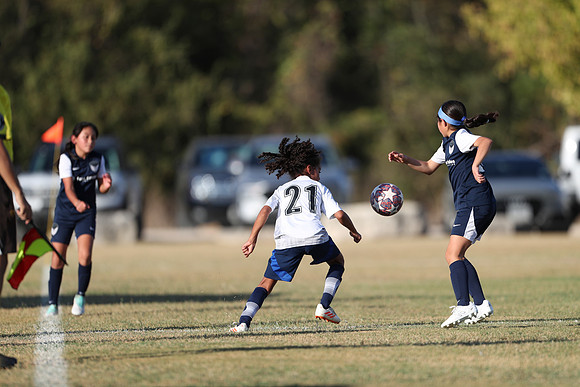 20241027StingG14G8Win-5571