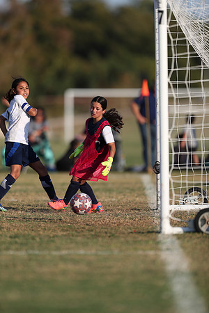 20241027StingG14G8Win-6420