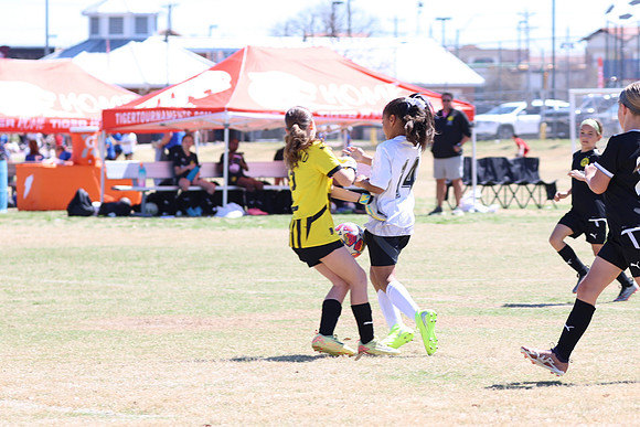 20250316TigerCupG4-4239