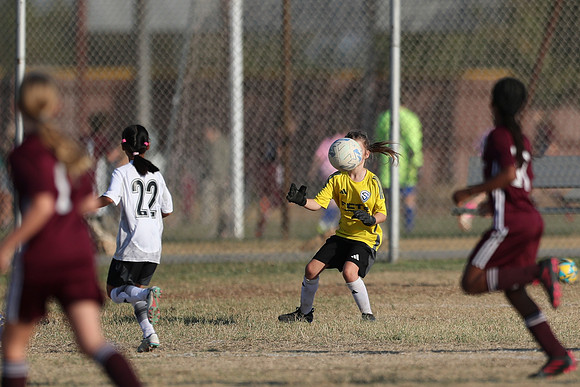 20241012StingG14Game6Win-3984