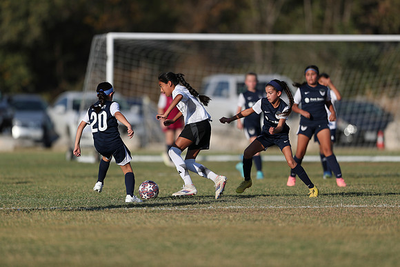 20241027StingG14G8Win-5851