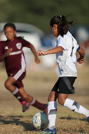 20241012StingG14Game6Win-4177