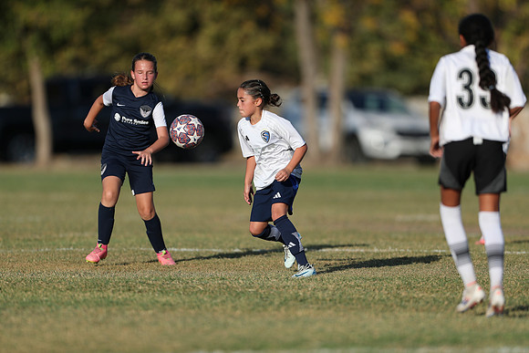20241027StingG14G8Win-6261
