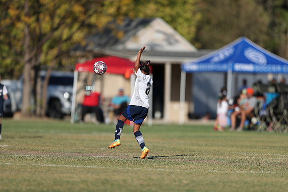 20241027StingG14G8Win-5585