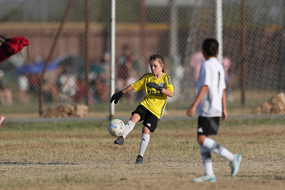 20241012StingG14Game6Win-3992