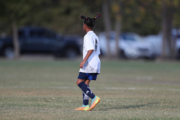 20241027StingG14G8Win-5651