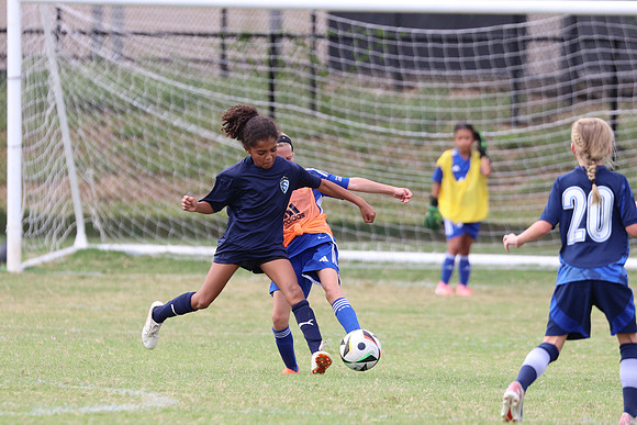 20240914StingG14G2-7353