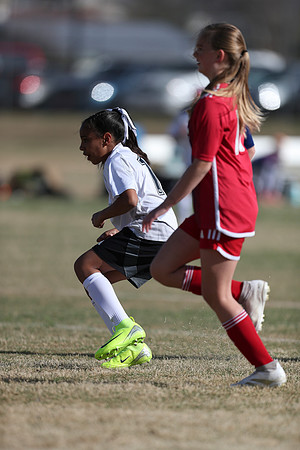 20250315StingAustingG14TigerCupG2-20200