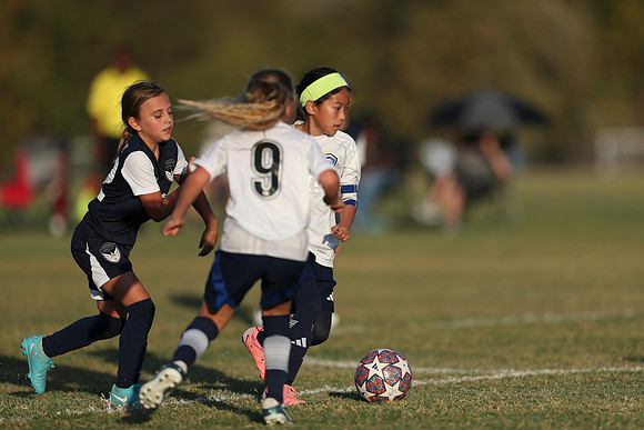 20241027StingG14G8Win-6812