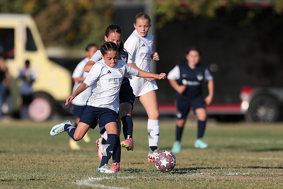20241027StingG14G8Win-6215