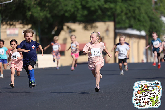 20250426HCMWildflower-3246