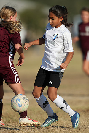 20241012StingG14Game6Win-4176