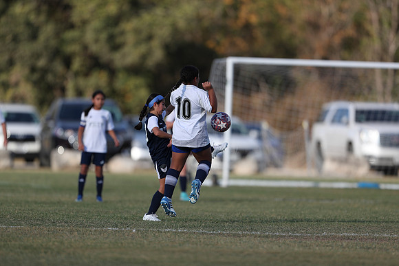 20241027StingG14G8Win-5611