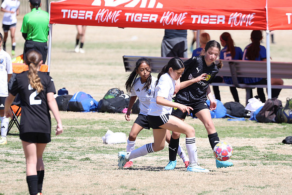 20250316TigerCupG4-4583