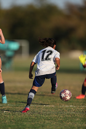 20241027StingG14G8Win-7104