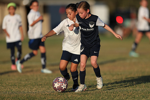20241027StingG14G8Win-7139