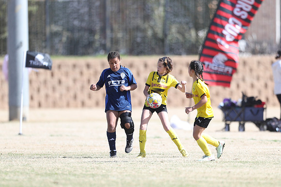 20250315StingAustingG14TigerCupG1-20652