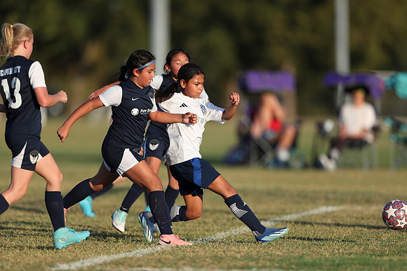 20241027StingG14G8Win-6830
