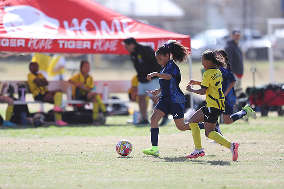 20250315StingAustingG14TigerCupG1-20620