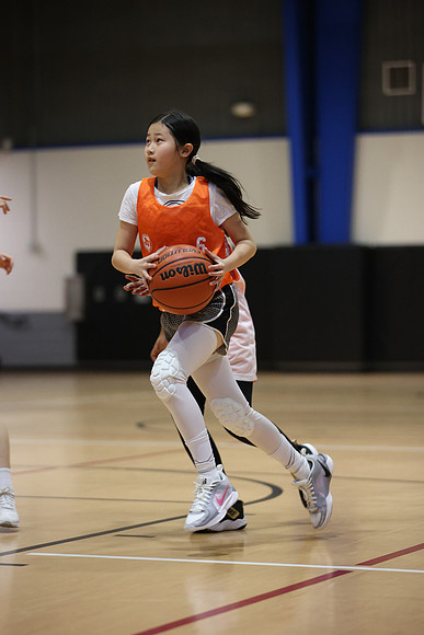 WOLF4622
