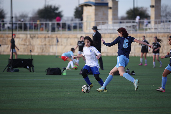 WOLF4942