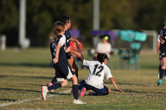 20241027StingG14G8Win-6921