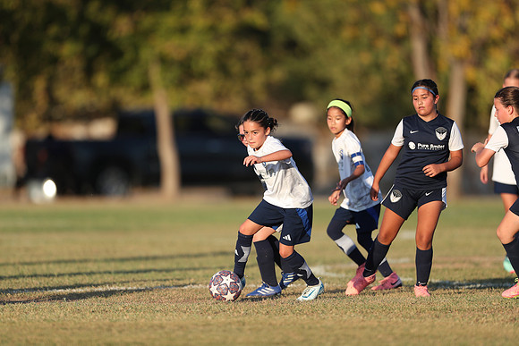 20241027StingG14G8Win-7127