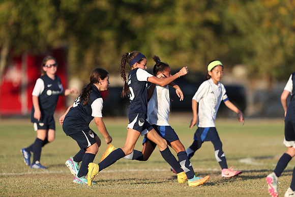 20241027StingG14G8Win-7039