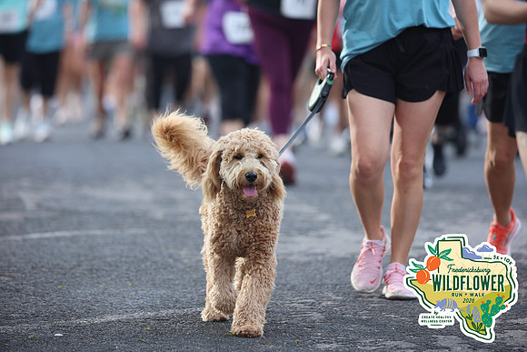 20260425CHWCWildflowerRun-0461