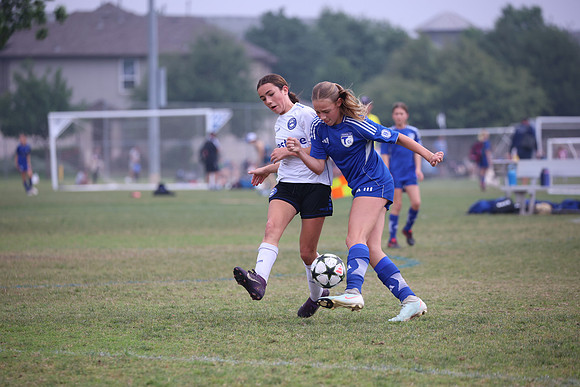 WOLF1641